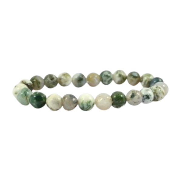 TREE AGATE